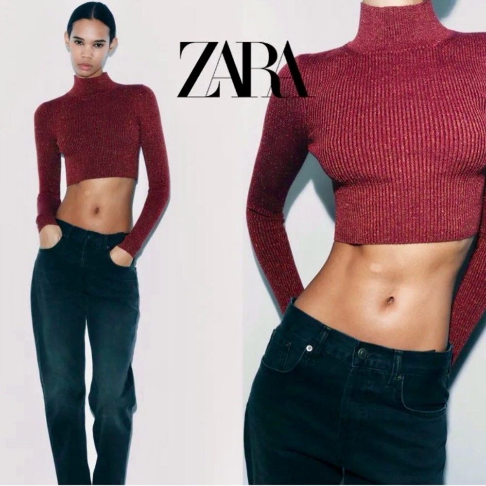 Zara burnt Orange/ Maroon Long Sleeve Crop Top